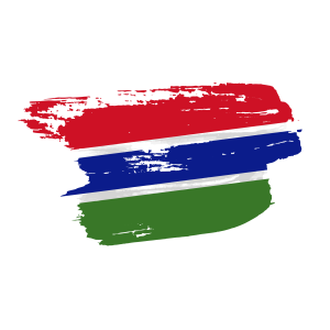 Gambia flag png