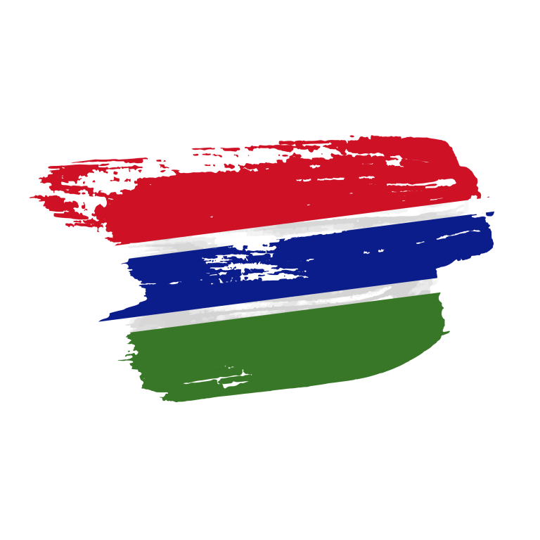 Gambia flag png