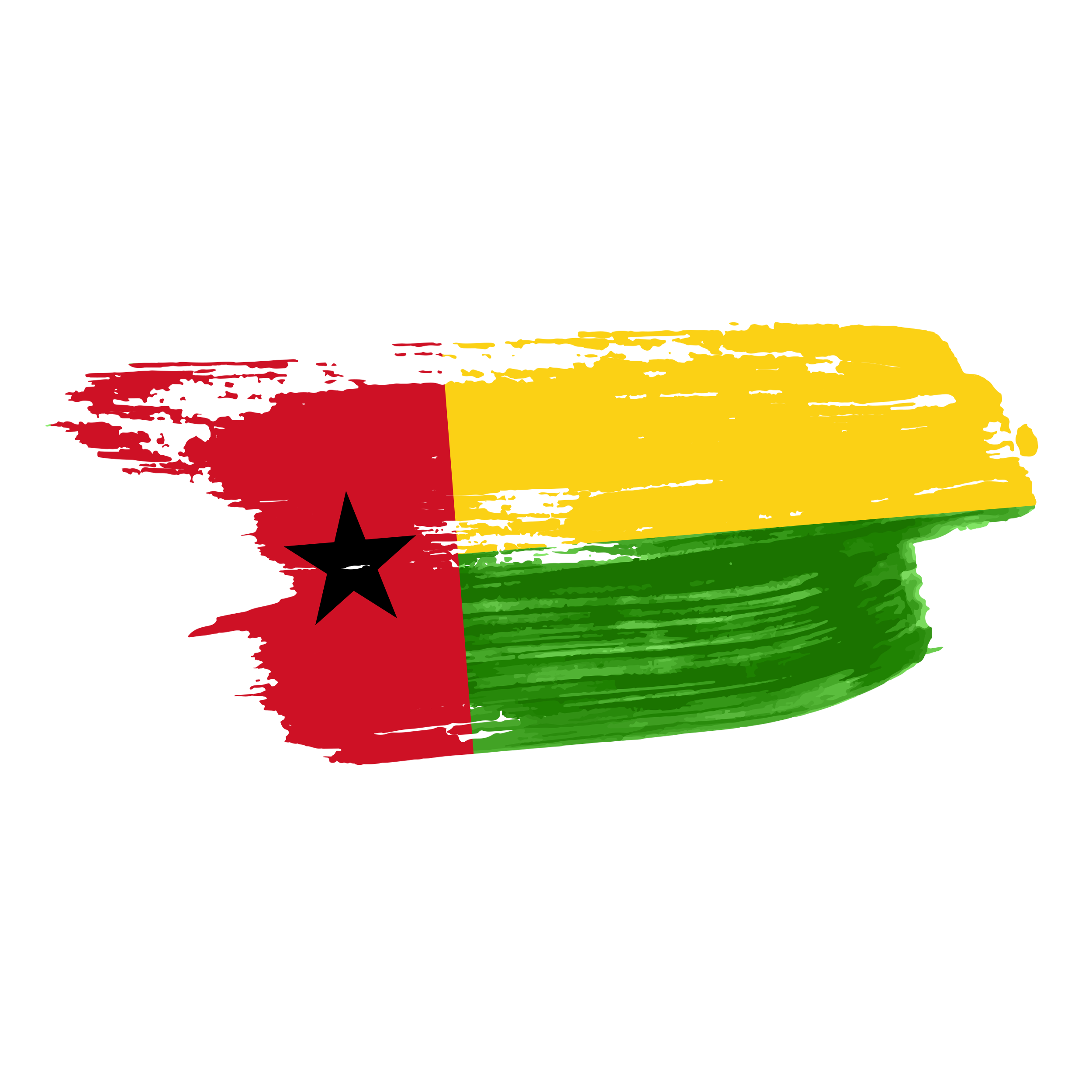 Guinea Bissau flag png
