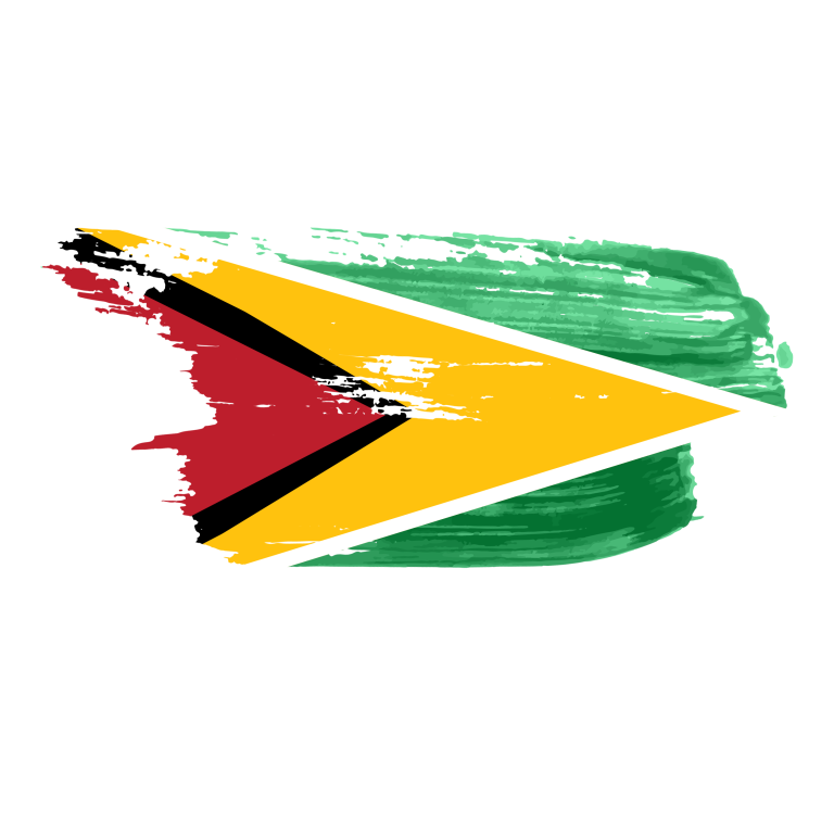 Guyana flag png