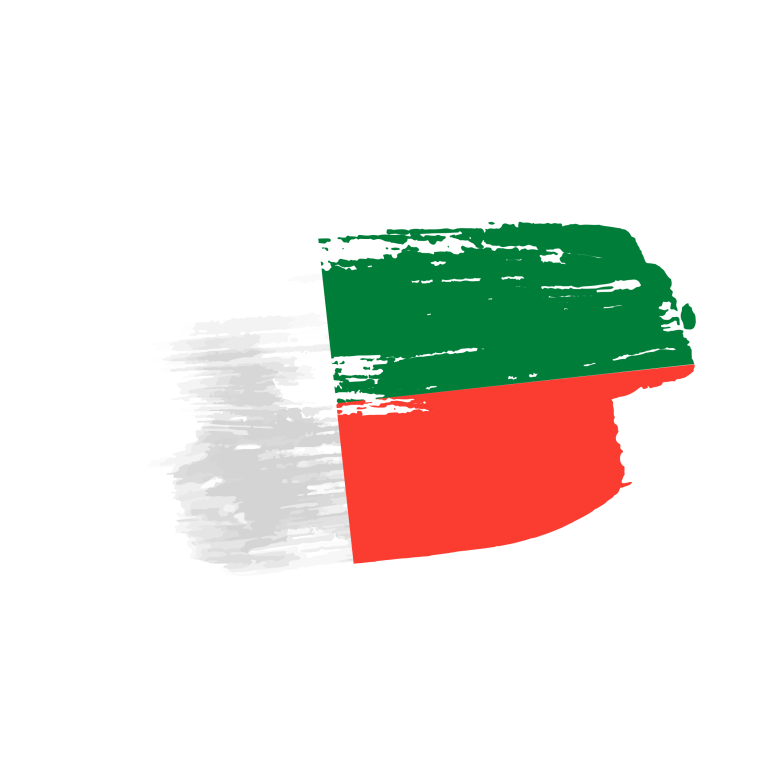 Madagascar flag png