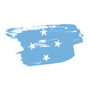 Micronesia flag png
