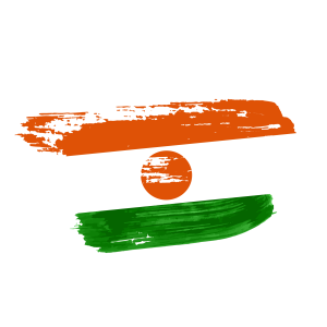 Niger flag png