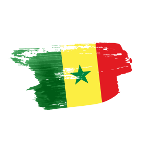 Senegal flag png