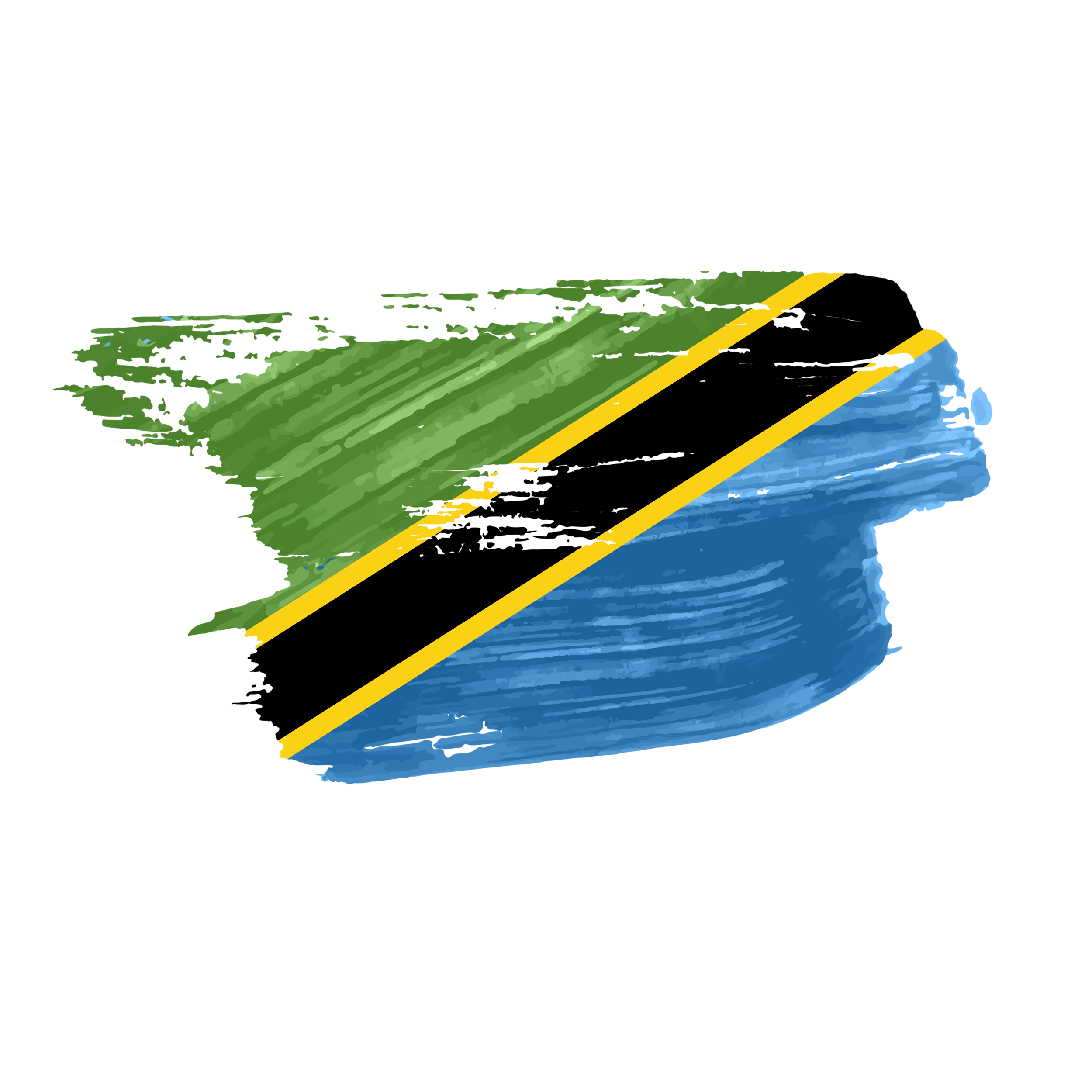 Tanzania flag png