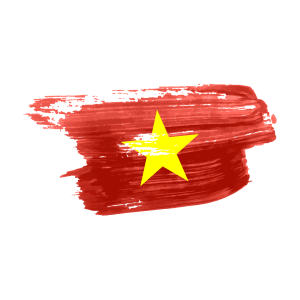 Vietnam flag png