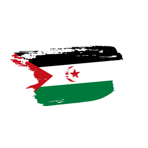 Western Sahara flag png