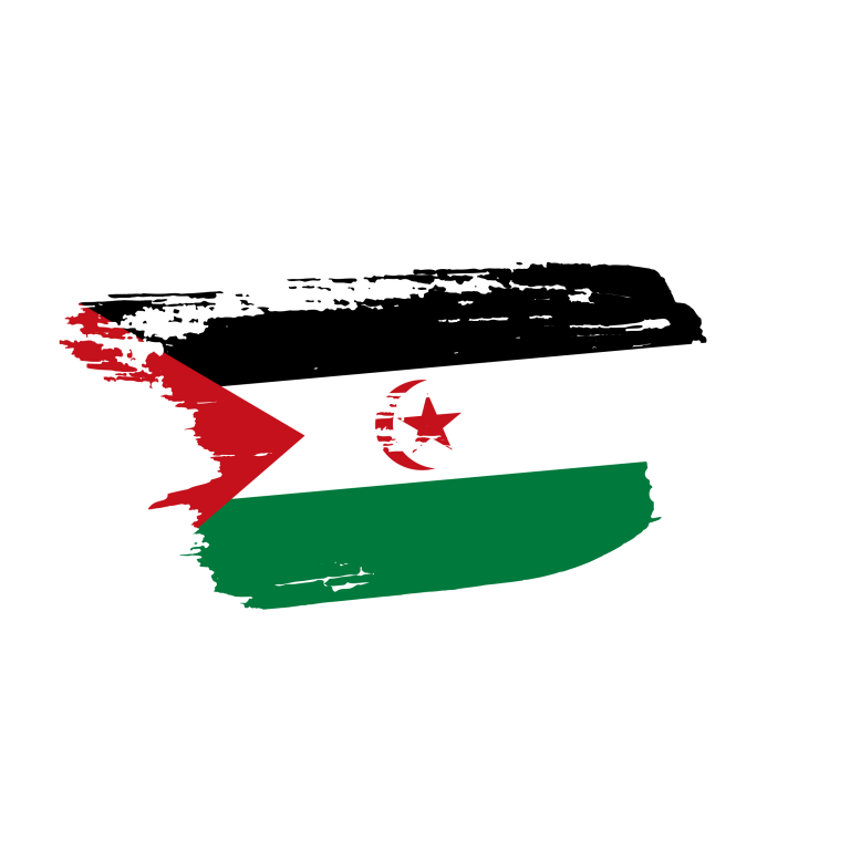 Western Sahara flag png