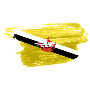 brunei flag png