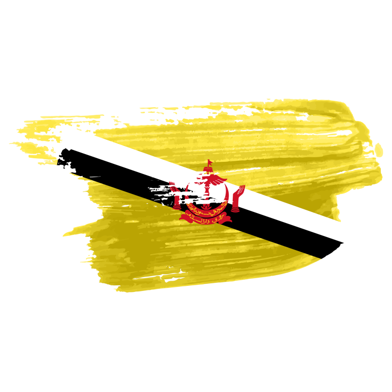 brunei flag png