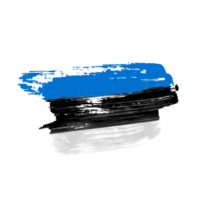 estonia flag png