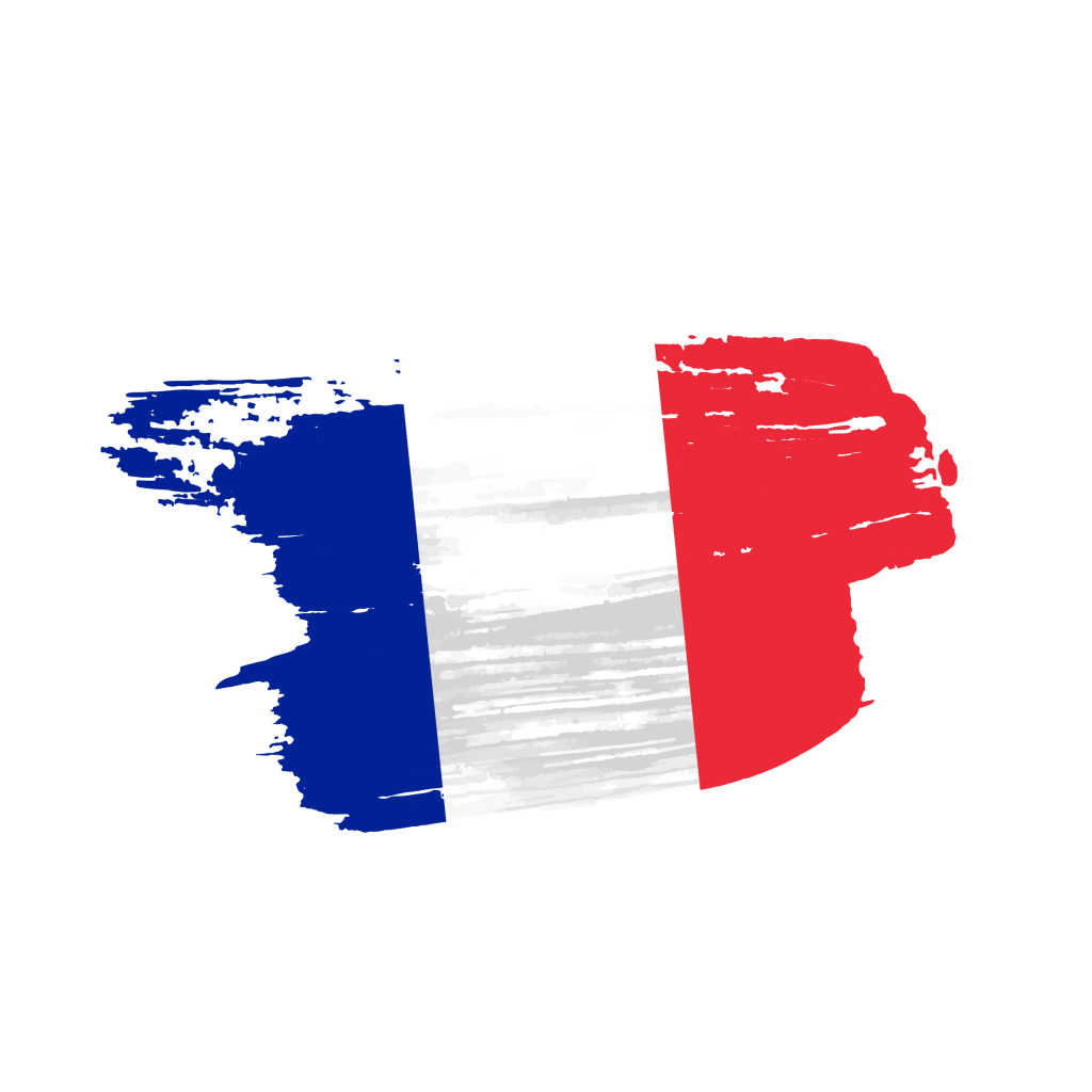 france flag png