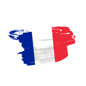 france flag png