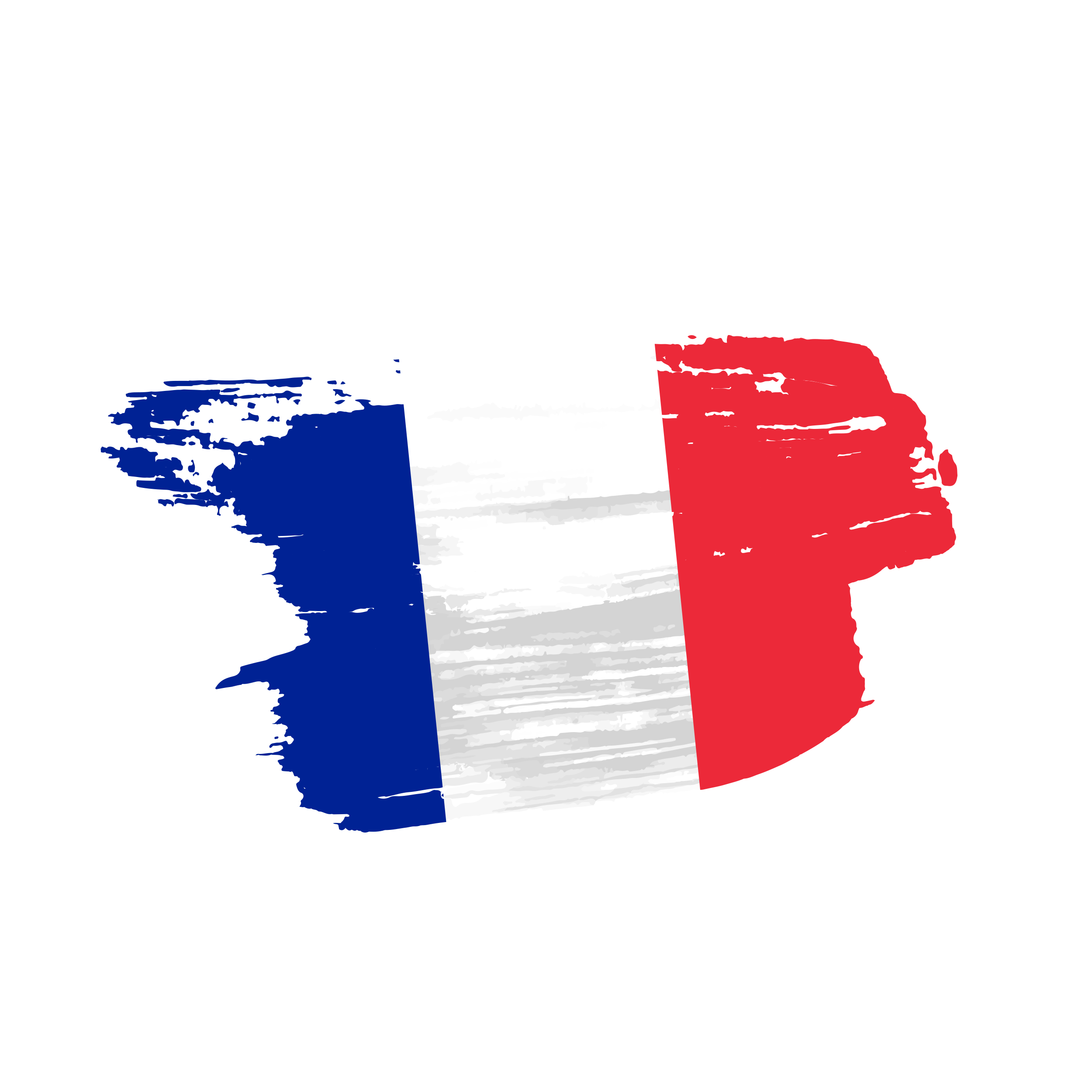 france flag png