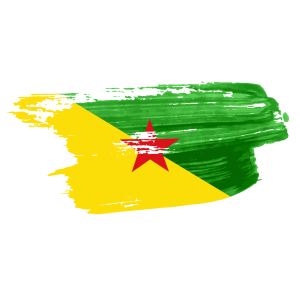 french guiana flag png