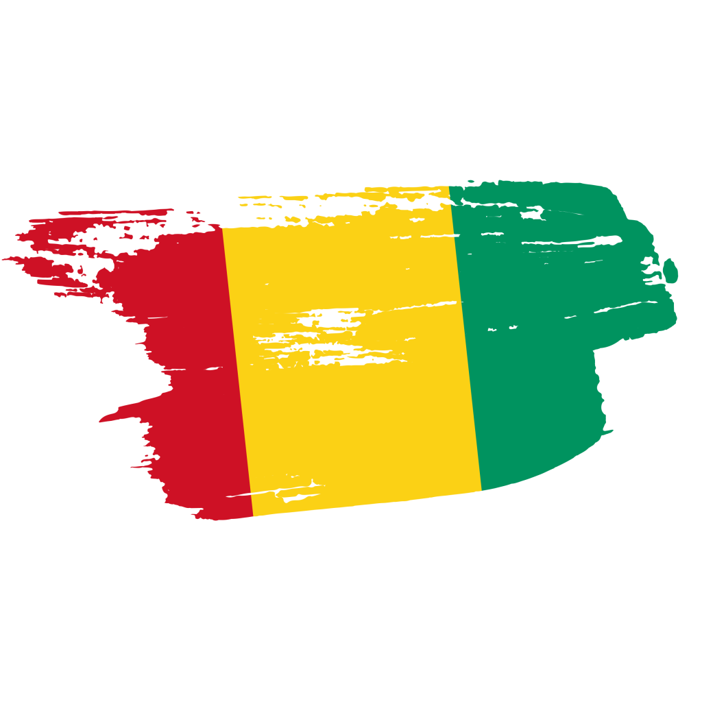 guinea flag png