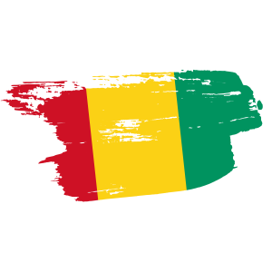 guinea flag png