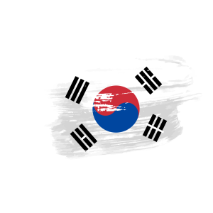 south korea flag png