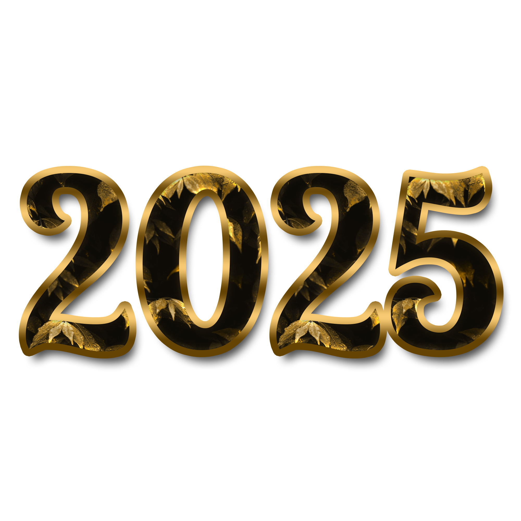 202254