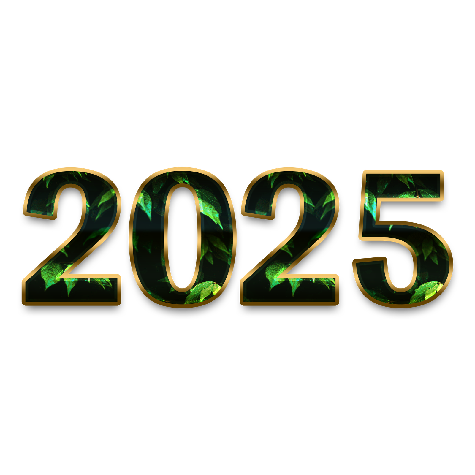 2025