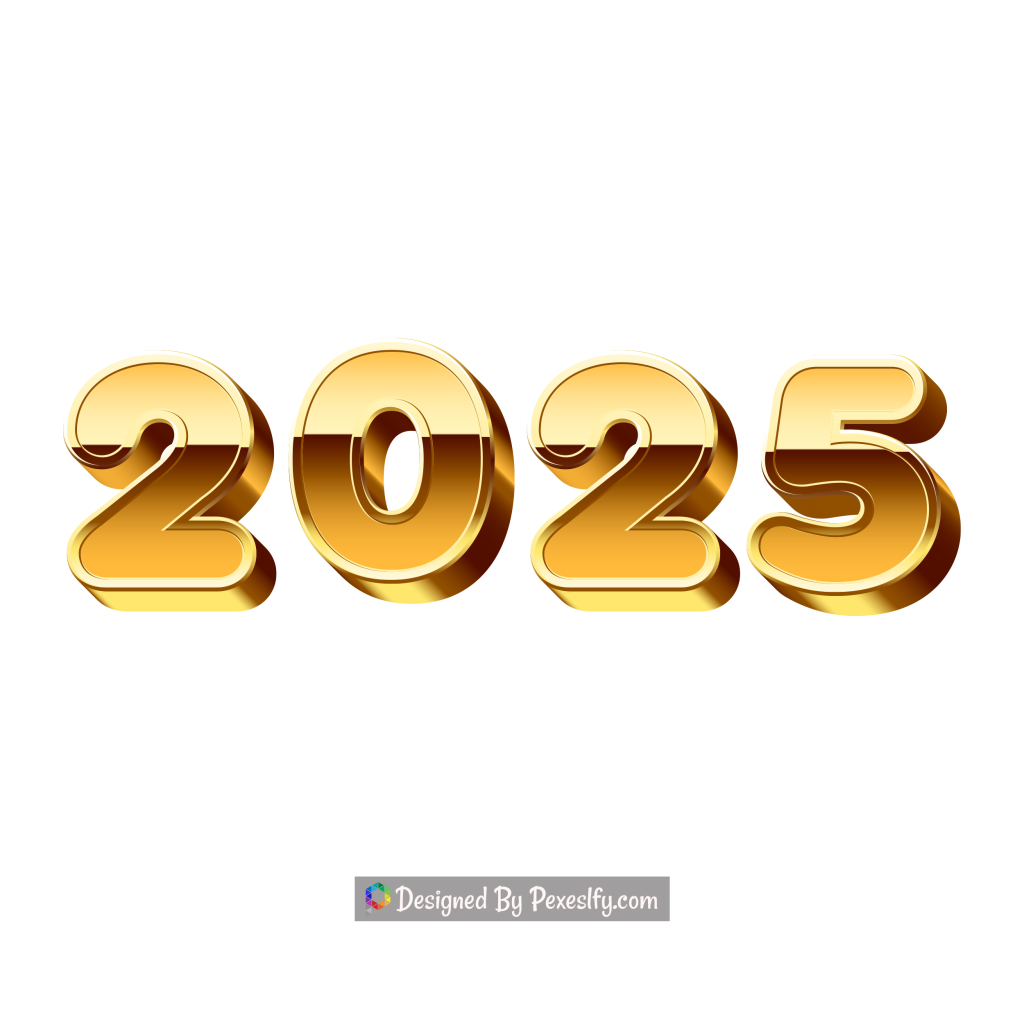 3d 2025