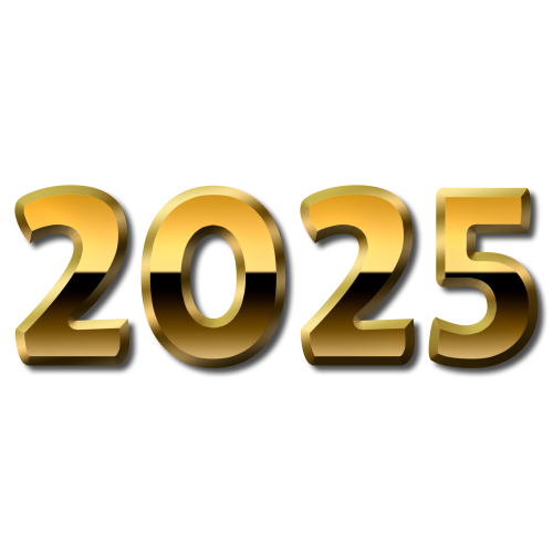 3d red vs versus Transparent background text effect. New Year 2025 text