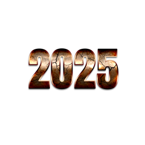 2025 bras