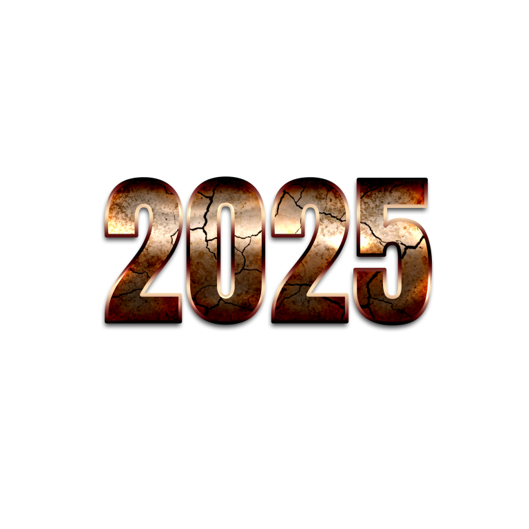 2025 bras