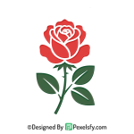Rose PNG