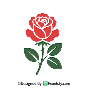 Creative ron Ros png, vector flower, flowers