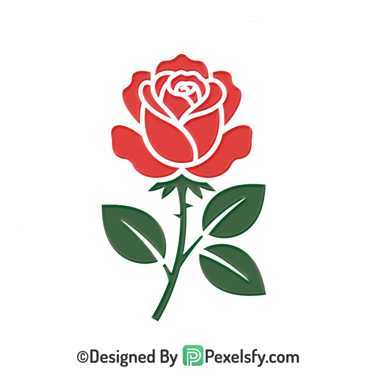 Rose PNG