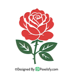 Rose PNG