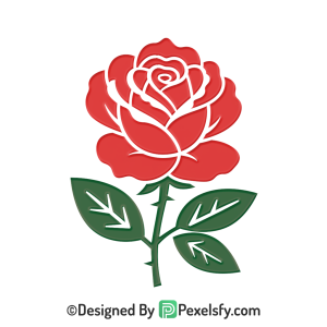 free abstract flower png transparent, vector flower,