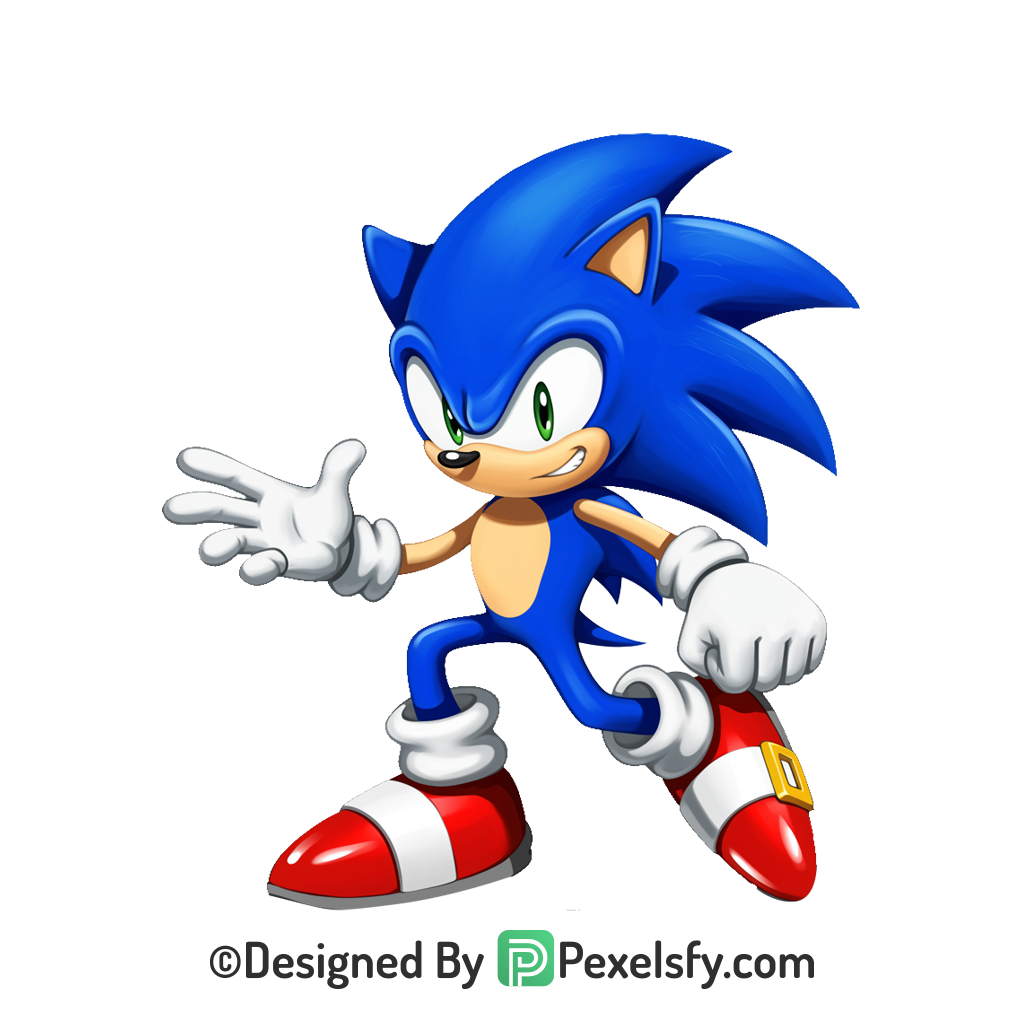 Shadow and Sonic Sonic PNG Transparent Background,