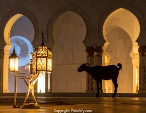 Sunrise Eid View with Festive Atmosphere