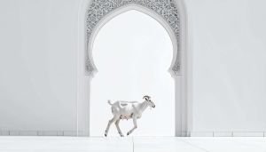 Mosque Gates Open for Eid Visitors