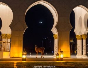 Silhouetted Mosque During Eid al-Adha Prayer