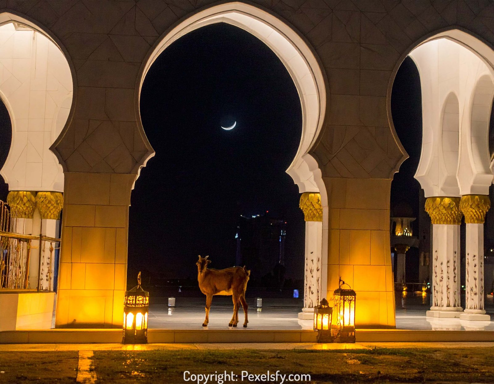 Silhouetted Mosque During Eid al-Adha Prayer