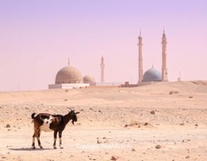 Sacred Grounds Filled on Eid Morning