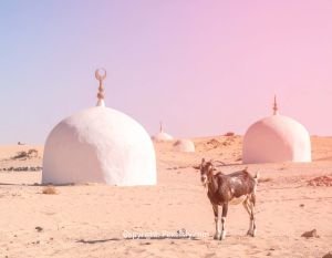 Eid al-Adha Peace Under Morning Sun