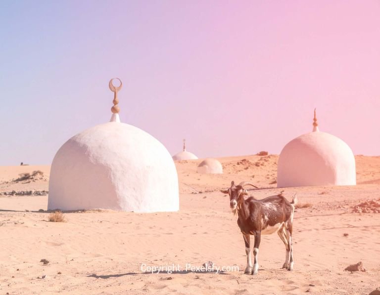 Eid al-Adha Peace Under Morning Sun