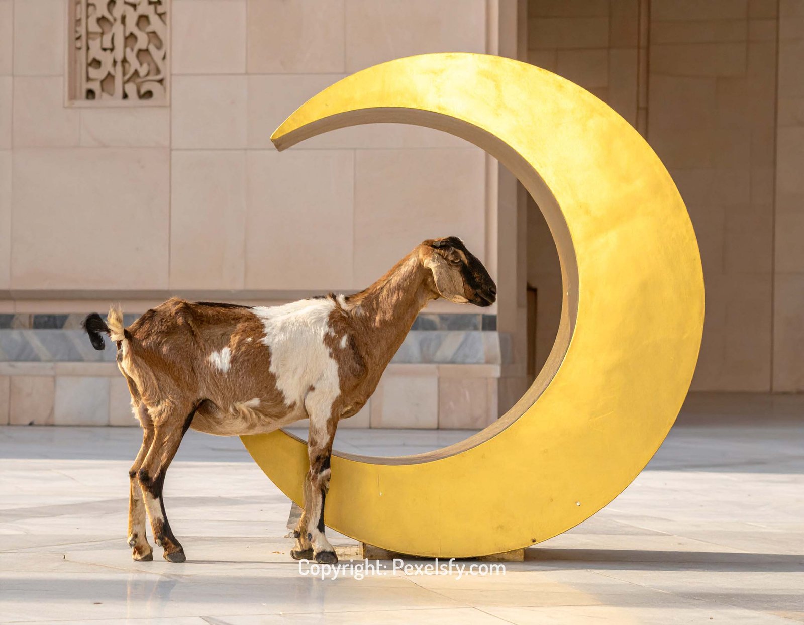 Golden Rays Kiss Eid al-Adha Dome