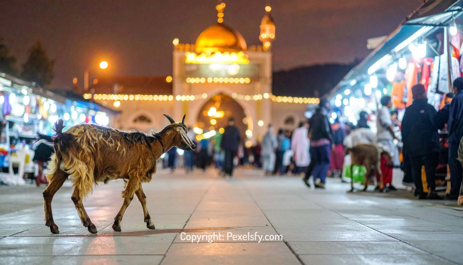 Quiet Mosque Glows on Eid Morning
