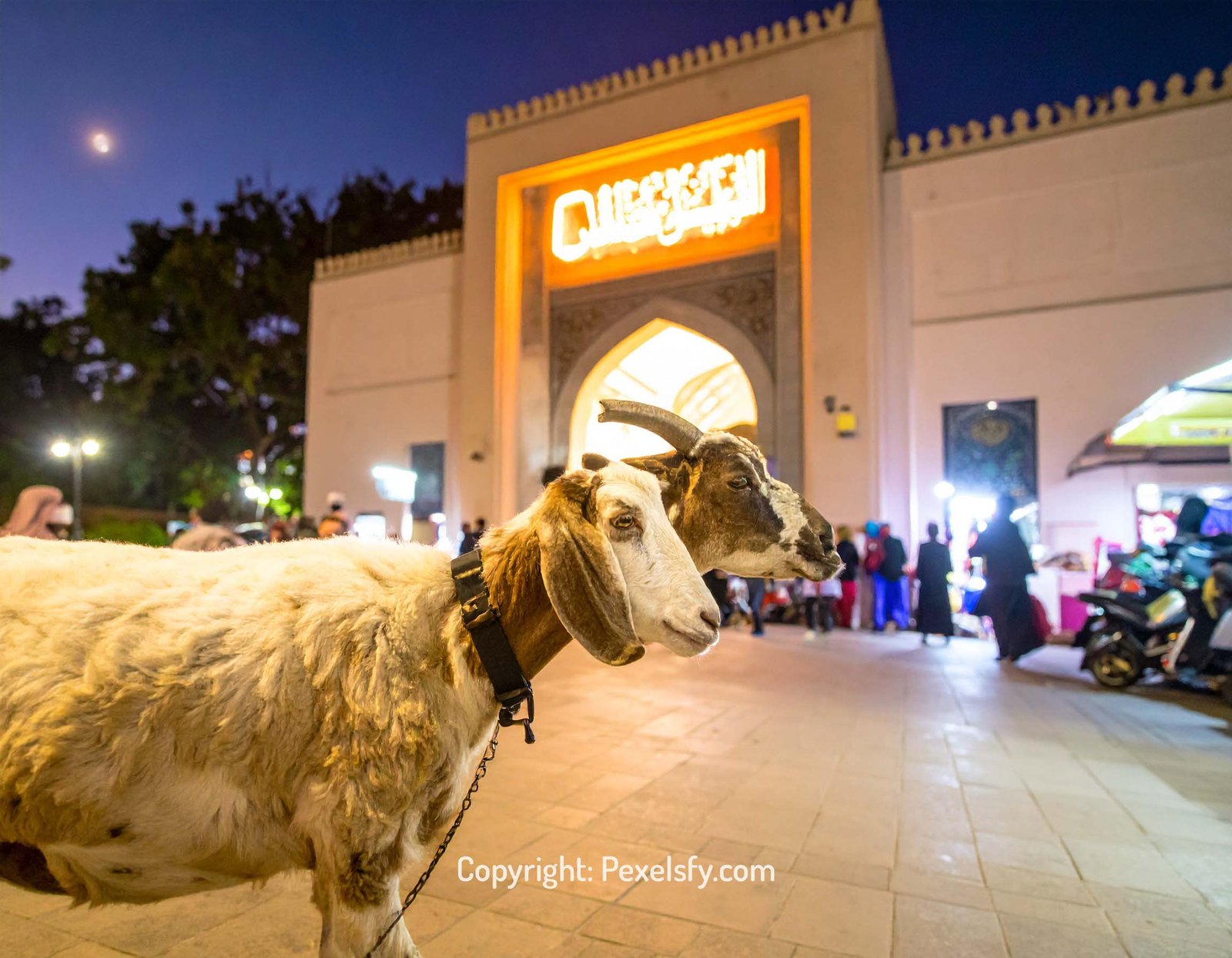 Eid Songs Echo Through Valley Village