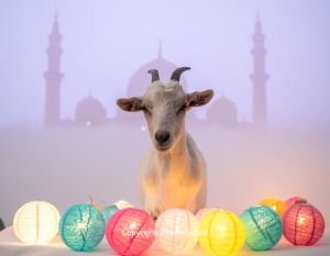 Gathering Begins with Eid al-Adha Greeting