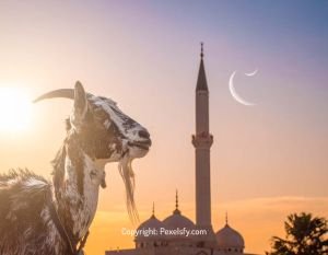 Golden Hour Eid al-Adha Landscape