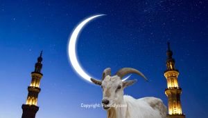 Ancient Mosque Hosts Eid al-Adha Gathering