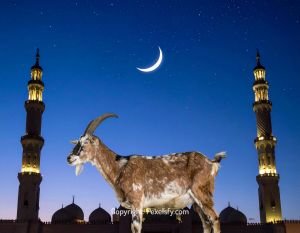 Sunrise Glow on Eid al-Adha Morning