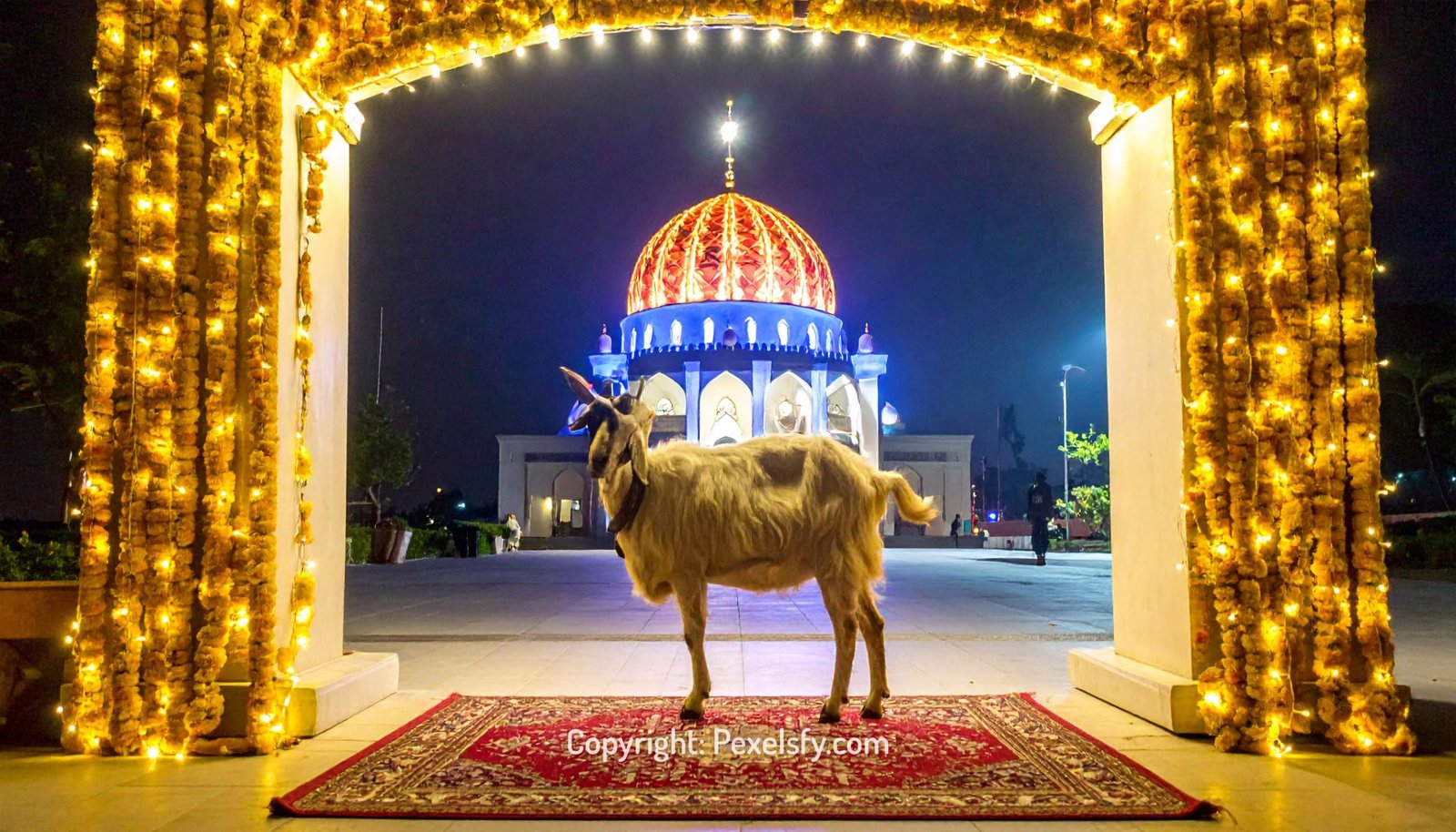 Lanterns Light Up Eid al-Adha Streets