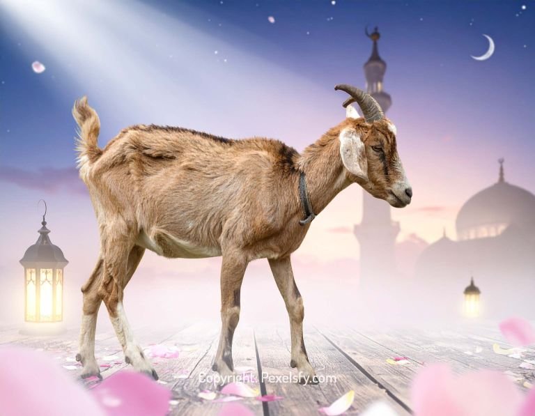 Warm Welcome for Eid Visitors
